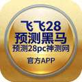 飞飞28预测黑马预测28pc神测网官方APP应用图标